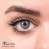 لنز شماره 2 مدل Dream Gray رویال ویژن
